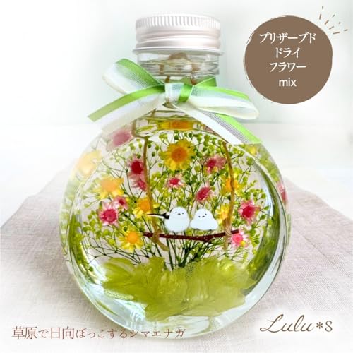 Amazon.co.jp: Lulu's: ハーバリウム